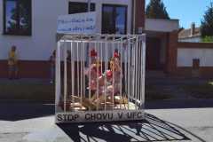 Obrazek-WhatsApp-2024-06-25-v-10.19.02_9ed053f1